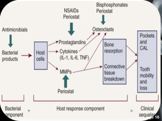 Host Modulation Host modulation therapy | PPTX