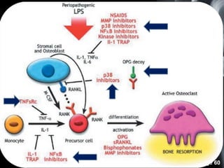 Host Modulation Host modulation therapy | PPTX