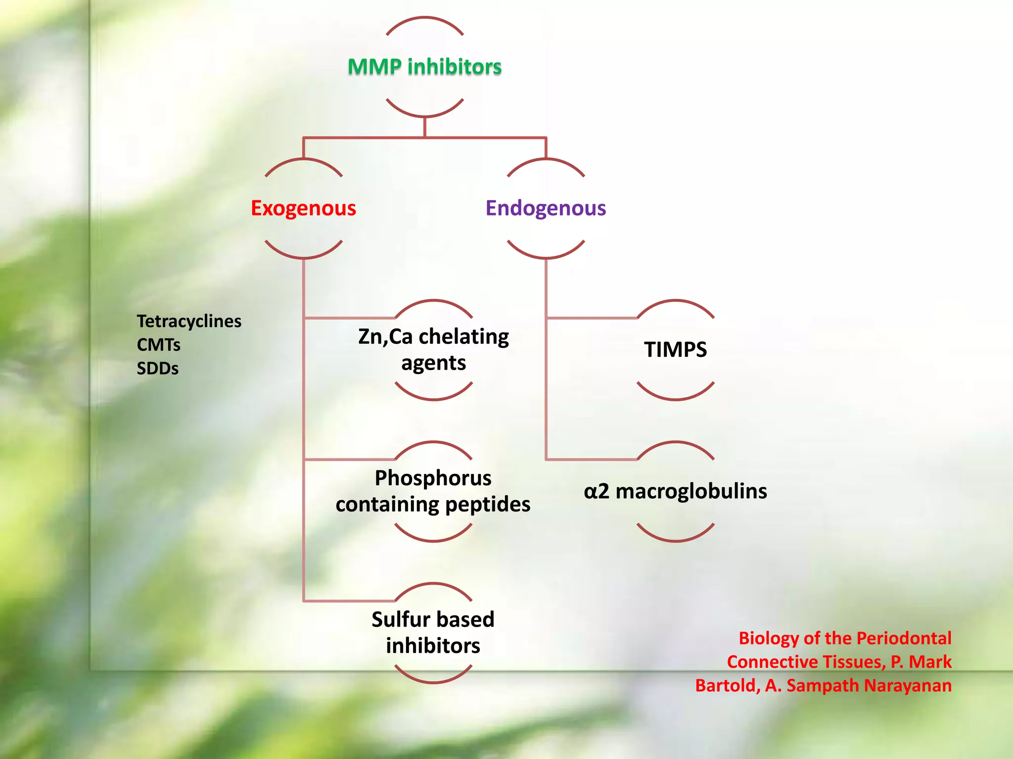 Host Modulation Host modulation therapy | PPTX