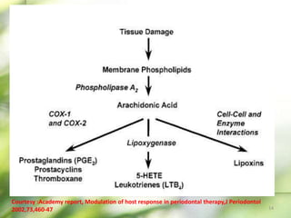 14
Courtesy :Academy report, Modulation of host response in periodontal therapy,J Periodontol
2002,73,460-47
 
