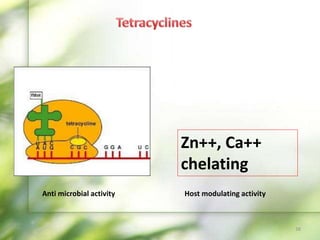 Anti microbial activity
Zn++, Ca++
chelating
Host modulating activity
38
 