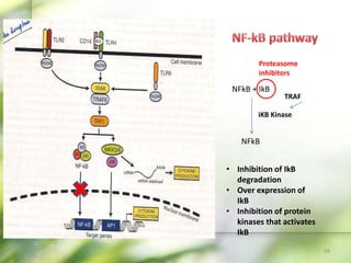TRAF
NFkB + IkB
iKB Kinase
NFkB
Proteasome
inhibitors
• Inhibition of IkB
degradation
• Over expression of
IkB
• Inhibition of protein
kinases that activates
IkB
68
 
