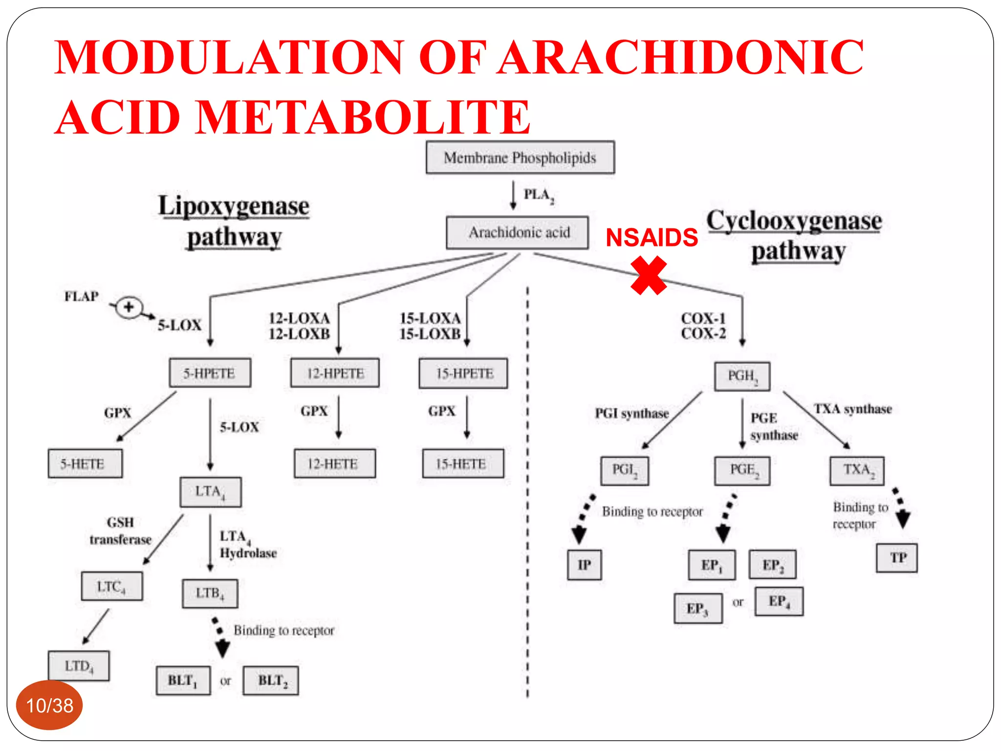Host Modulation Host modulation therapy | PPTX