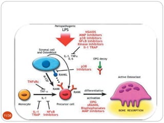 Host Modulation Host modulation therapy | PPTX