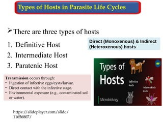 There are three types of hosts
1. Definitive Host
2. Intermediate Host
3. Paratenic Host
https://slideplayer.com/slide/
11656807/
Types of Hosts in Parasite Life Cycles
Direct (Monoxenous) & Indirect
(Heteroxenous) hosts
Transmission occurs through:
• Ingestion of infective eggs/cysts/larvae.
• Direct contact with the infective stage.
• Environmental exposure (e.g., contaminated soil
or water).
 