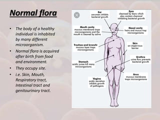 Normal flora
• The body of a healthy
individual is inhabited
by many different
microorganism.
• Normal flora is acquired
after birth from food
and environment.
• They occupy site.
• i.e. Skin, Mouth,
Respiratory tract,
Intestinal tract and
genitourinary tract.
 