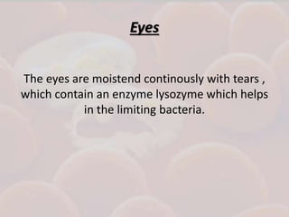 Eyes
The eyes are moistend continously with tears ,
which contain an enzyme lysozyme which helps
in the limiting bacteria.
 