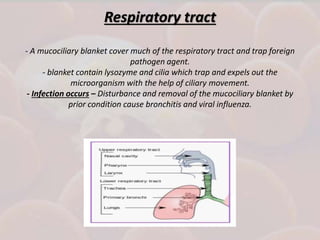 Respiratory tract
- A mucociliary blanket cover much of the respiratory tract and trap foreign
pathogen agent.
- blanket contain lysozyme and cilia which trap and expels out the
microorganism with the help of ciliary movement.
- Infection occurs – Disturbance and removal of the mucociliary blanket by
prior condition cause bronchitis and viral influenza.
 