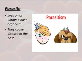 Parasite
• lives on or
within a host
organism.
• They cause
disease in the
host.
 