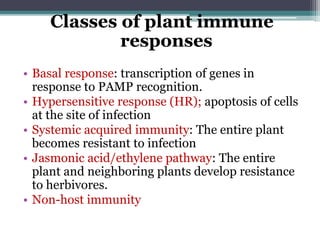 Classes of plant immune
responses
• Basal response: transcription of genes in
response to PAMP recognition.
• Hypersensitive response (HR); apoptosis of cells
at the site of infection
• Systemic acquired immunity: The entire plant
becomes resistant to infection
• Jasmonic acid/ethylene pathway: The entire
plant and neighboring plants develop resistance
to herbivores.
• Non-host immunity
 
