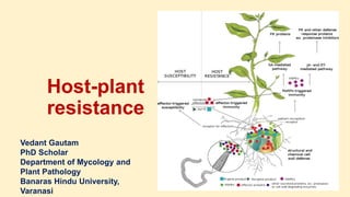 Host-plant
resistance
Vedant Gautam
PhD Scholar
Department of Mycology and
Plant Pathology
Banaras Hindu University,
Varanasi
 