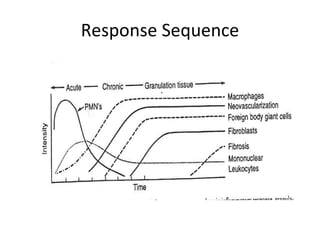 Response Sequence 