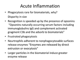 Acute Inflammation Phagocytosis rare for biomaterials, why? Disparity in size Recognition is speeded up by the presence of opsonins  “Opsonins naturally occurring serum factors including immunoglubulins IgG and complement activated gragment C3b and the adsorb to biomaterials” Frustrated phagocytosis Neurtrophils adherent to nonphagocytosable surfaces release enzymes “ Enzymes are released by direct extrusion or exocytosis” Larger particles in the biomaterial induce greater enzyme release  