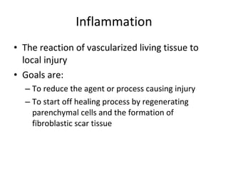 Inflammation The reaction of vascularized living tissue to local injury Goals are: To reduce the agent or process causing injury To start off healing process by regenerating parenchymal cells and the formation of fibroblastic scar tissue  