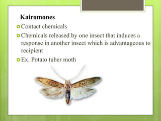 Kairomones
 Contact chemicals
 Chemicals released by one insect that induces a
  response in another insect which is advantageous to
  recipient
 Ex. Potato tuber moth
 
