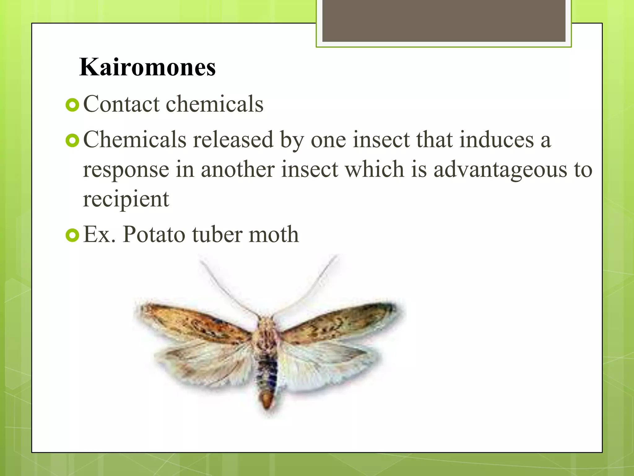 Kairomones
 Contact chemicals
 Chemicals released by one insect that induces a
  response in another insect which is advantageous to
  recipient
 Ex. Potato tuber moth
 