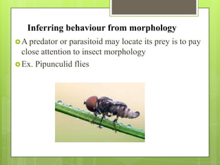 Host seeking behaviour of insects | PPSX
