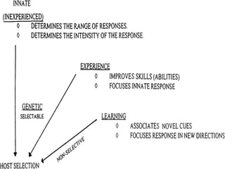 Host seeking behaviour of insects | PPSX