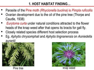 Host selection process by parasitoids -SSNAIK TNAU | PPT | Gardening ...
