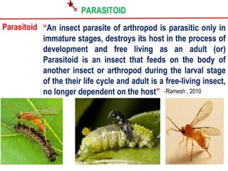Host selection process by parasitoids -SSNAIK TNAU | PPT | Gardening ...