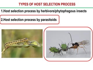 Host selection process by parasitoids -SSNAIK TNAU | PPT | Gardening ...