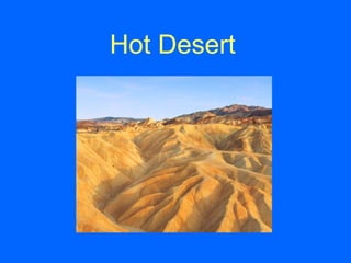 Hot Desert 