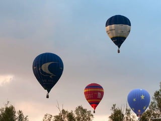 Hot air balloons