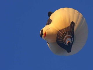 Hot air balloons