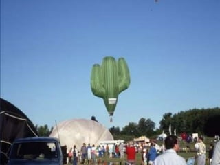 Hot air balloons