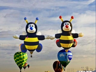 Hot air balloons
