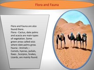 Flora and Fauna
Flora and Fauna are also
found there.
Flora:- Cactus, date palms
and acacia are main types
of vegetation. Some
green areas called oisis
where date palms grow.
Fauna:- Animals :-
Camels, hyenas, jackals,
foxes , Scorpios, Snakes,
Lizards, are mainly found.
 