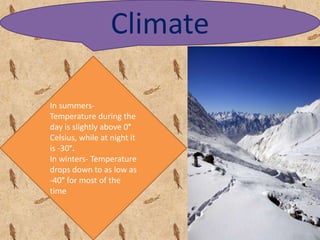 Climate
In summers-
Temperature during the
day is slightly above 0°
Celsius, while at night it
is -30°.
In winters- Temperature
drops down to as low as
-40° for most of the
time
 
