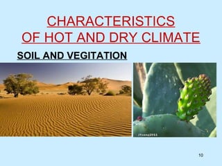 CHARACTERISTICS
OF HOT AND DRY CLIMATE
SOIL AND VEGITATION
10
 