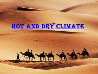 HOT AND DRY CLIMATE
1
 