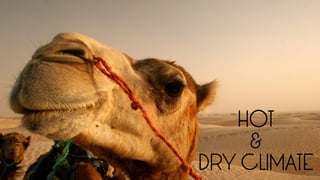 HOT
&
DRY CLIMATE
 