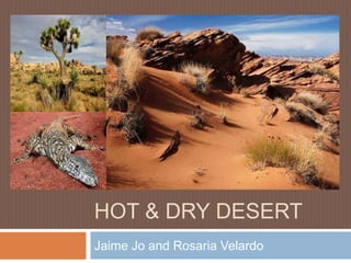 HOT & DRY DESERT
Jaime Jo and Rosaria Velardo
 
