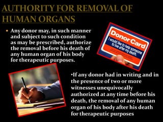  Any donor may, in such manner
 and subject to such condition
 as may be prescribed, authorize
 the removal before his death of
 any human organ of his body
 for therapeutic purposes.

                        •If any donor had in writing and in
                        the presence of two or more
                        witnesses unequivocally
                        authorized at any time before his
                        death, the removal of any human
                        organ of his body after his death
                        for therapeutic purposes
 