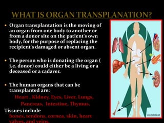  Organ transplantation is the moving of
  an organ from one body to another or
  from a donor site on the patient's own
  body, for the purpose of replacing the
  recipient's damaged or absent organ.

 The person who is donating the organ (
  i.e. donor) could either be a living or a
  deceased or a cadaver.

 The human organs that can be
  transplanted are:
     Heart , Kidney, Eyes, Liver, Lungs,
       Pancreas, Intestine, Thymus.
Tissues include
  bones, tendons, cornea, skin, heart
  valves, and veins.
 