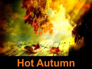 Hot Autumn 