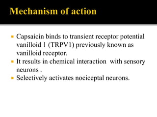  Capsaicin binds to transient receptor potential
vanilloid 1 (TRPV1) previously known as
vanilloid receptor.
 It results in chemical interaction with sensory
neurons .
 Selectively activates nociceptal neurons.
 