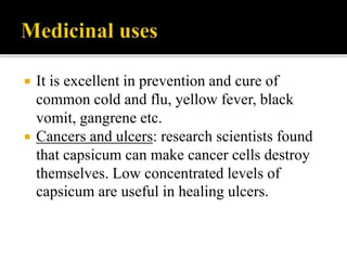  It is excellent in prevention and cure of
common cold and flu, yellow fever, black
vomit, gangrene etc.
 Cancers and ulcers: research scientists found
that capsicum can make cancer cells destroy
themselves. Low concentrated levels of
capsicum are useful in healing ulcers.
 