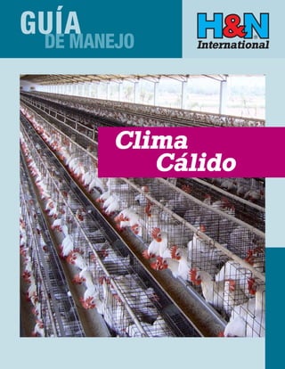 GUÍA
 DE MANEJO
 React appropriately to the following chick behavior:                      There is a practically proved principal in splitting
   a. Listless and prostrate chicks which indicates ex-                the day into phases of resting and activity using a
   cessive heat.                                                       specially designed intermittent lighting program. The
   b. Loud chirping indicates hunger or cold.                          target is to synchronise the chicks’ activities. The ca-
   c. Grouping (huddling) together indicates excessive                 retaker gets a better impression on the flocks condi-
   cold or drafts.                                                     tion, the birds are pushed by the group’s behaviour to
   d. Pasted vents which may indicate excessive heat                   search for water and feed.
   or cold.                                                                Therefore H & N International advises to give
                                                                       chicks a rest after they arrive at the rearing farm and
 Water                                                                 then start with periods of four hours of light and two




                                                   Clima
                                                                       hours of darkness.
     Chicks must have access to plenty of clean, fresh,
 cool water. This is necessary for flocks to get off to a
 good start. Water intake must not be restricted under




                                                      Cálido
 any conditions.
     Water consumption rises dramatically with in-
 creasing ambient temperature as illustrated in Table
 1. If sufficient watering space is not available, or if
 the watering system or supply is insufficient to meet
 maximum demand, the growth rate and health of the
 flock will be impaired.


 Water Consumption of Pullets*

 * M. O. North and D. D. Bell, Commercial Chicken Production Manual,
 4th Ed., 1990, pg. 262.




 Feed
   Use a high quality diet. Crumbles are better than
 mash for early growth. Provide plenty of feeder space.


 Intermittent Lighting Program in Rea-
 ring for Day Old Chicks
     When the Day Old Chicks arrive on the farm, they
 have been intensively handled in the hatchery and
 often had a long transport to their final destination.
 Common practice is to give them in the first 2 or 3
 days after arrival, 24 hours light to help them to reco-
 ver and to provide those chicks enough time to eat and
 to drink. In practice it can be observed that after arri-
 val and housing some chicks continue to sleep, others
 are looking for feed and water. The activity of the flock
 will always be irregular. Especially in this phase, poul-
 trymen have difficulties interpreting the chicks beha-
 viour and their condition.


                                                                                                                                  1
 