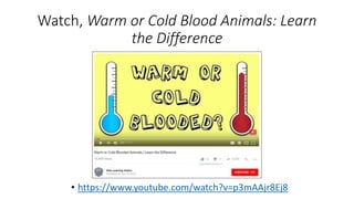 Watch, Warm or Cold Blood Animals: Learn
the Difference
• https://www.youtube.com/watch?v=p3mAAjr8Ej8
 