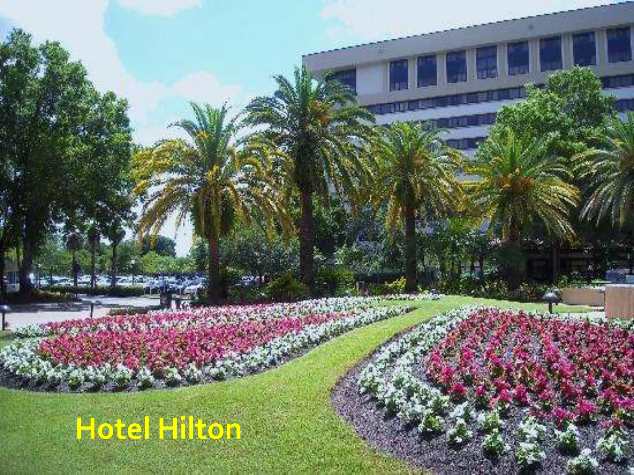 Hotel Hilton
