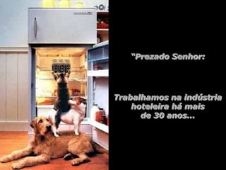 Hotelaria - hotel e cachorros