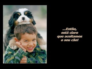 Hotelaria - hotel e cachorros