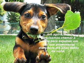 ...Até agora, nunca
  precisamos chamar a
polícia para expulsar um
   cão que promovesse
distúrbios até altas horas
          da noite.
 