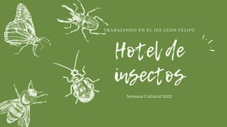 Hotel de
insectos
Semana Cultural 2022
TRABAJANDO EN EL IES LEON FELIPE
 