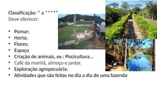 Classificação: * a *****
Deve oferecer:
• Pomar;
• Horta;
• Flores;
• Espaço
• Criação de animais, ex.: Piscicultura...
• Café da manhã, almoço e jantar.
• Exploração agropecuária;
• Atividades que são feitas no dia a dia de uma fazenda
 