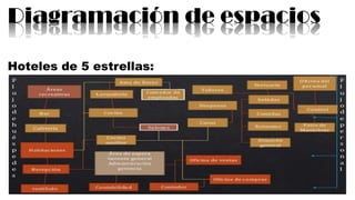 Diagramación de espacios
Hoteles de 5 estrellas:
 